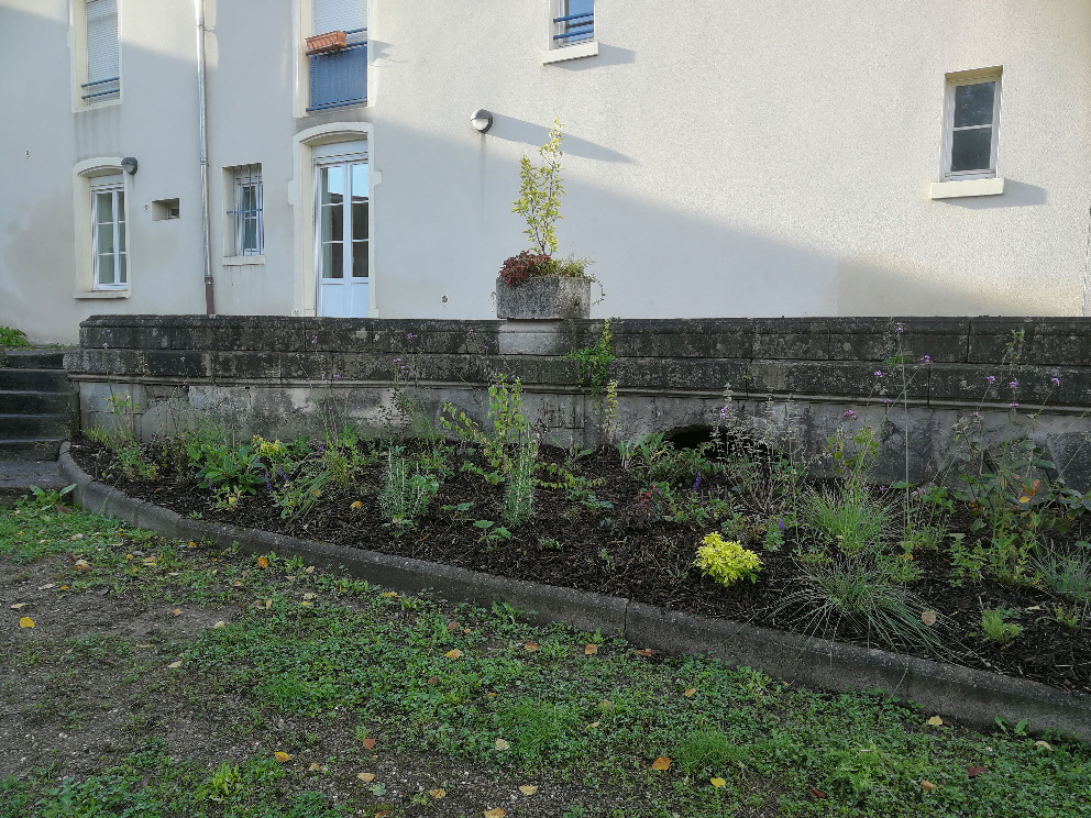 24.10.2022-plantation-dans-le-parc-3jpg