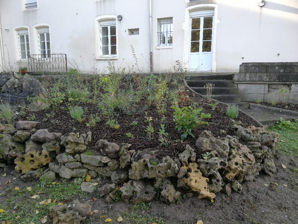 24.10.2022-plantation-dans-le-parc-4